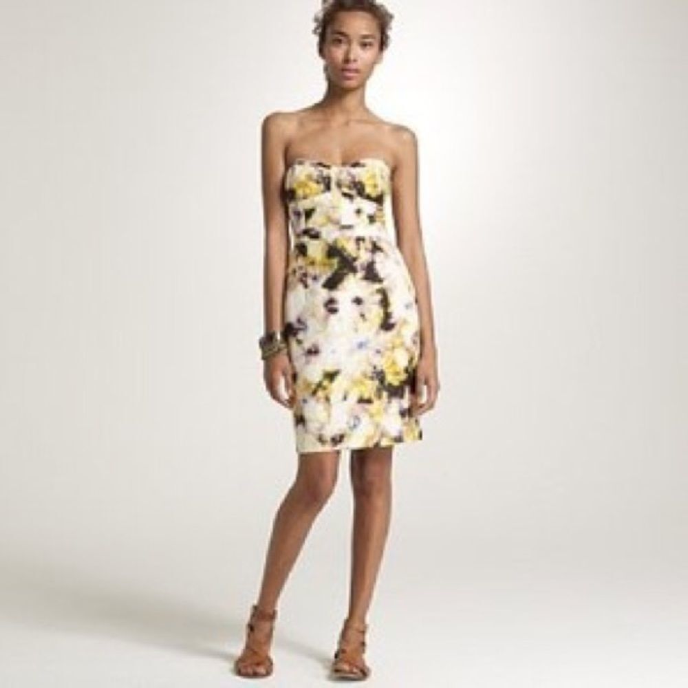 J. CREW FLEURETTE BUSTIER DRESS
